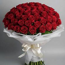 Букет 101 Красная роза Блэк Мэджик в Ржеве