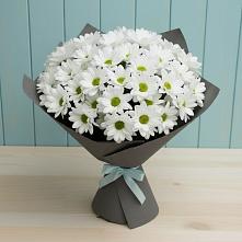 Букет цветов из:  Хризантемы #REPLACE_PRED# Ржеве