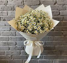 Букет цветов из:  Ромашки в Ржеве