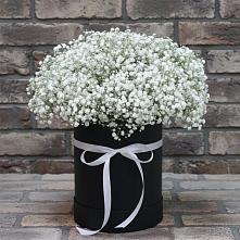 Цветочная композиция из Гипсофила в шляпной коробке в Ржеве
