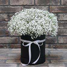 Цветочная композиция из Гипсофила в шляпной коробке в Ржеве