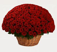 Премиум букет из: Розы в Ржеве