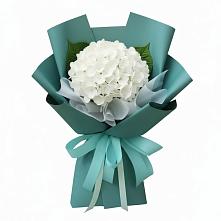 Букет цветов из:  Гортензия #REPLACE_PRED# Ржеве